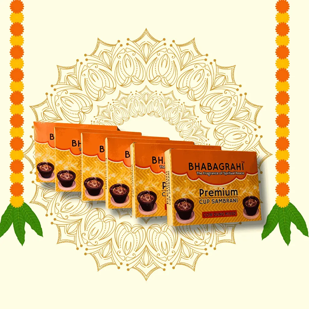 6 cup part 2 pr-bag part 2.webp